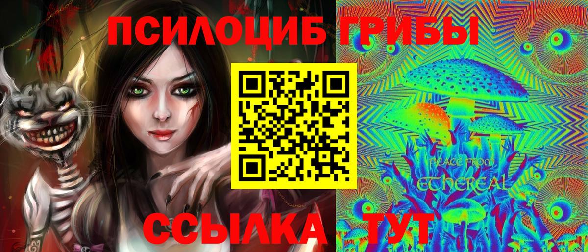 что такое   Вход с VPN  Шатура  Псилоцибиновые грибы MAGIC MUSHROOMS 