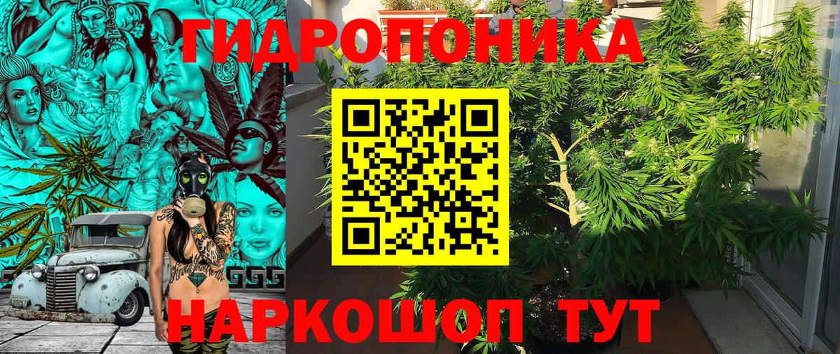 Канабис White Widow  МАРИХУАНА VHQ  Шишки марихуана MAZAR  Шатура  Вход с VPN  Канабис планчик 